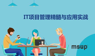 msup 軟件研發管理培訓與咨詢服務 賦能團隊，驅動卓越
