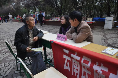 黨員服務進社區，教育咨詢暖人心——記云南民族中學黨員教育咨詢服務活動